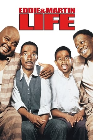 Life (1999) Dual Audio | Dubbed Hindi Movie BluRay 350MB