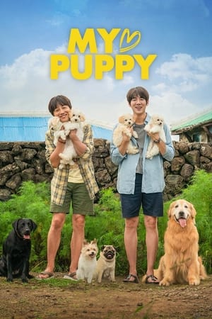 My Heart Puppy (2022) Dual Audio HDRip | Dubbed Hindi Movie – 480p