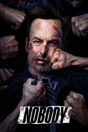 Nobody (2021) Dual Audio BluRay | Dubbed Hindi Movie – 480p