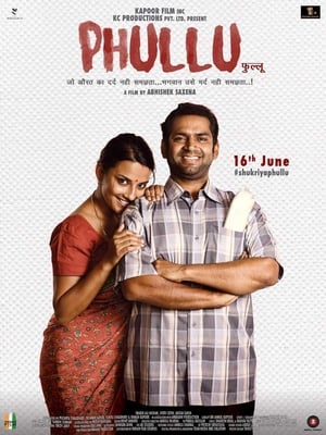 Phullu 2017 300MB Full Movie | Dubbed Hindi Movie DTHRip Download