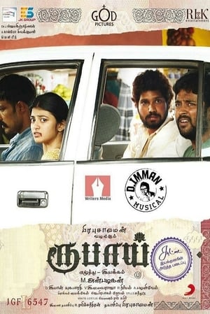 Rubaai (2017) Dual Audio | Dubbed Hindi Movie UnCut HDRip [1.5GB]