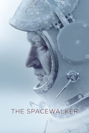 Spacewalk 2017 Dual Audio HDRip | Dubbed Hindi Movie – 480p