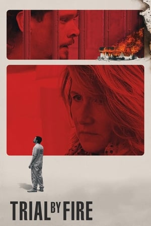 Trial by Fire 2018 Dual Audio | Dubbed Hindi Movie Web-DL [1GB]